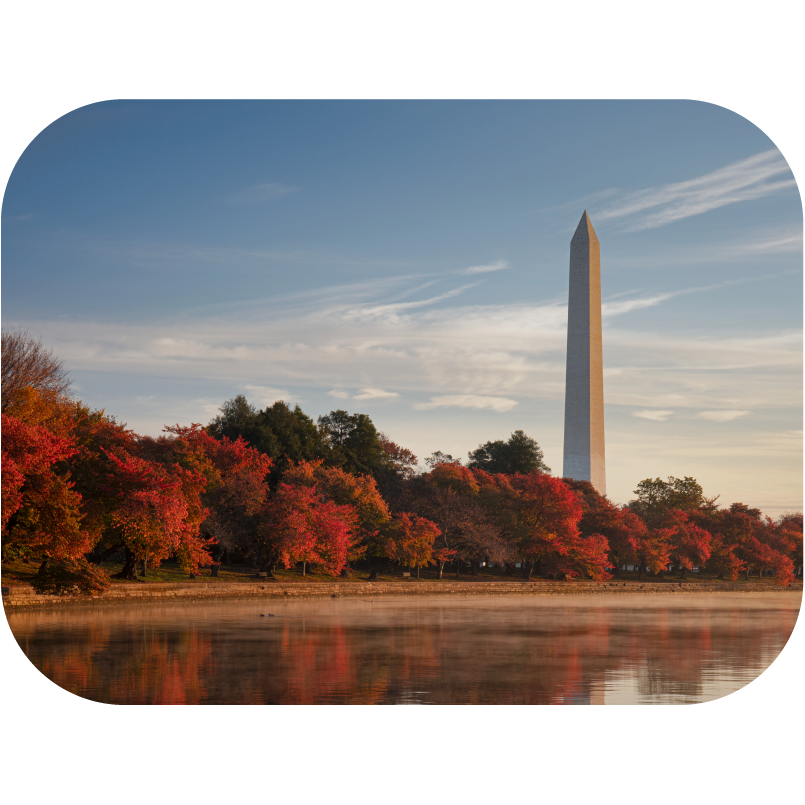 Washington D.C. Physical Therapy License Guide
