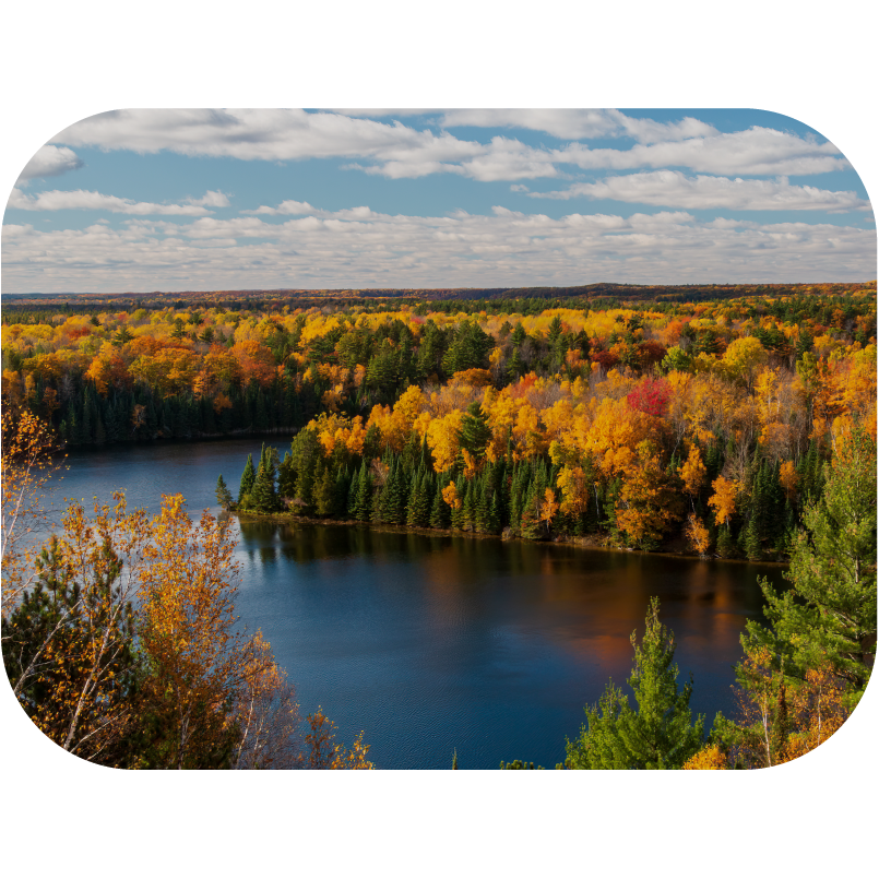 Michigan Occupational Therapy License Guide