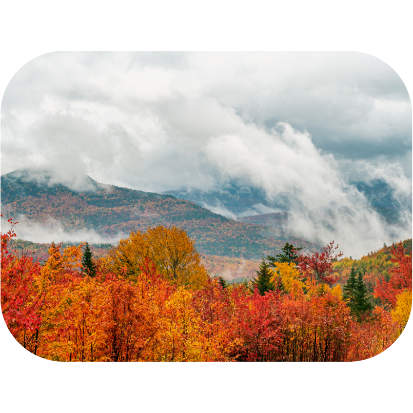 New Hampshire Physical Therapy License Guide