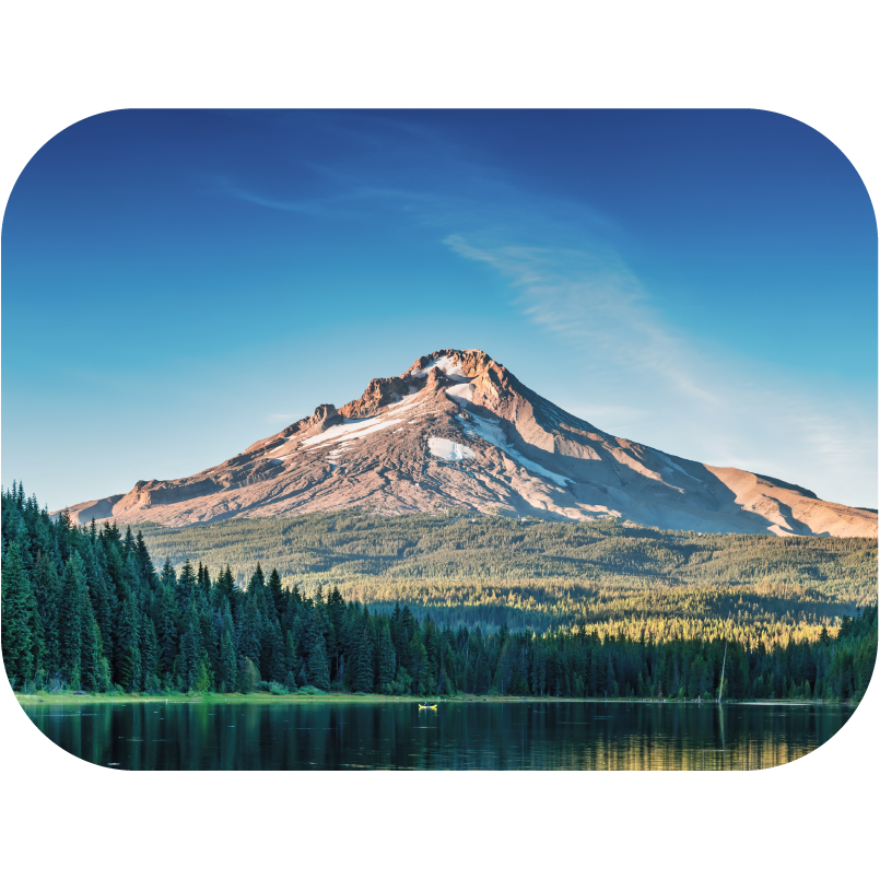 Oregon Occupational Therapy License Guide