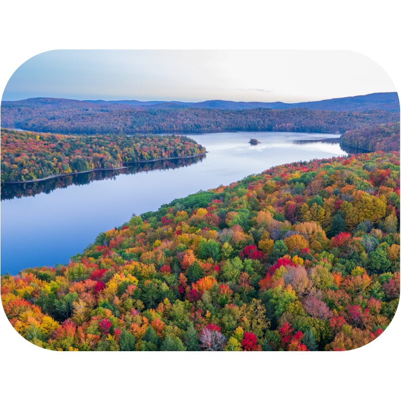 Vermont Physical Therapy License Guide